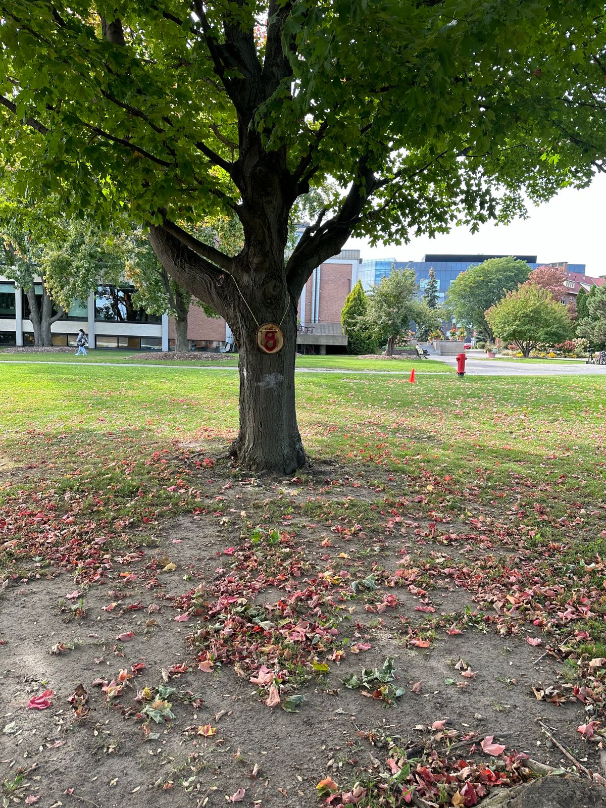 Hole 8