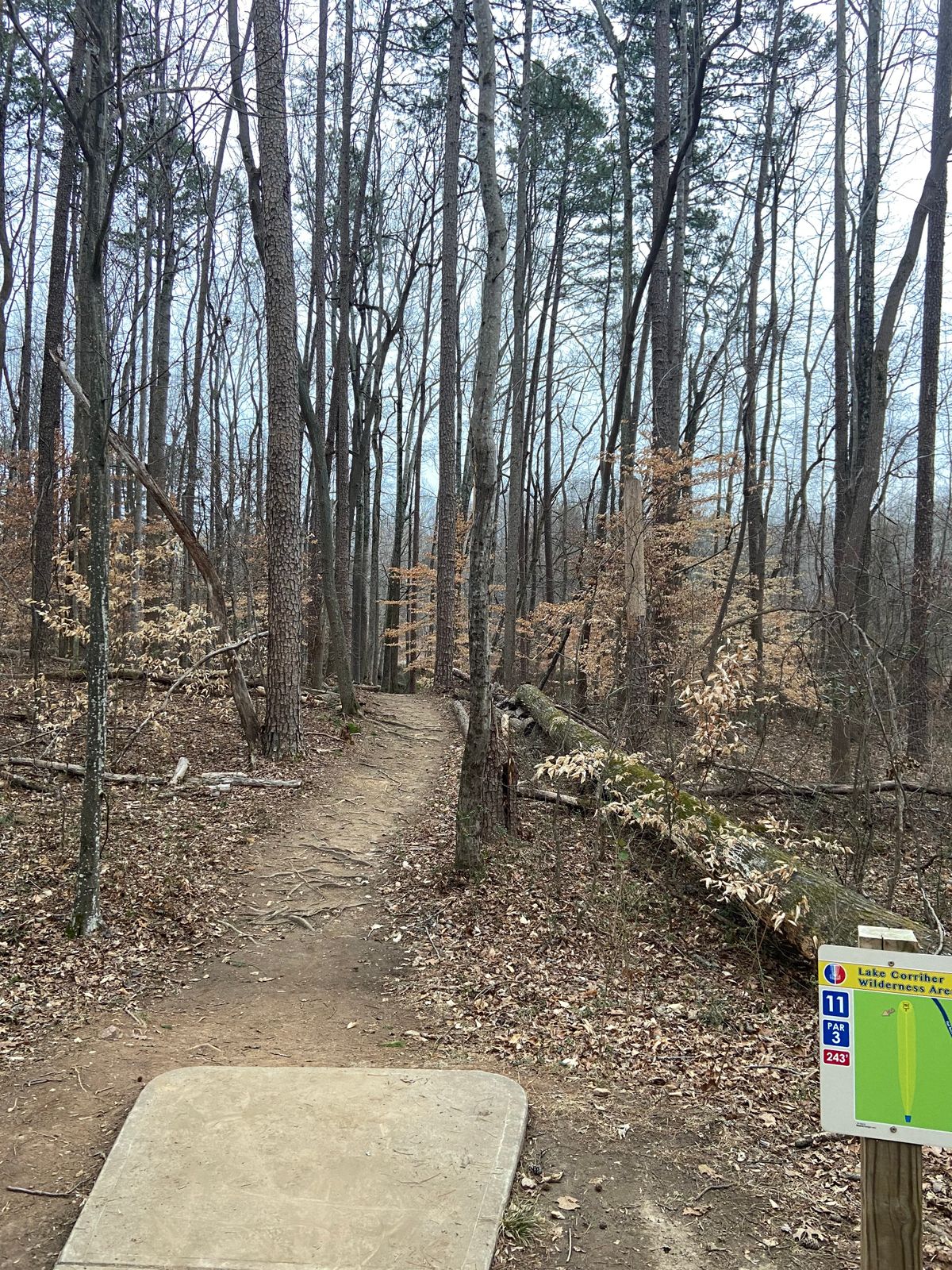 Hole 11