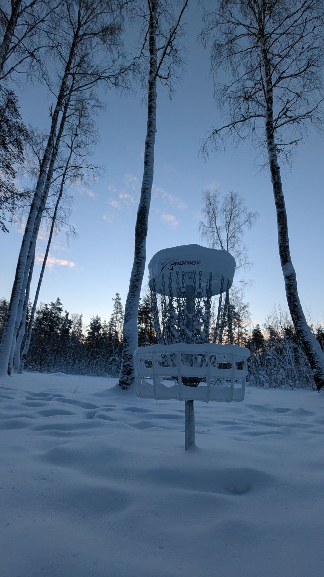 Hole 12 basket during wintertime