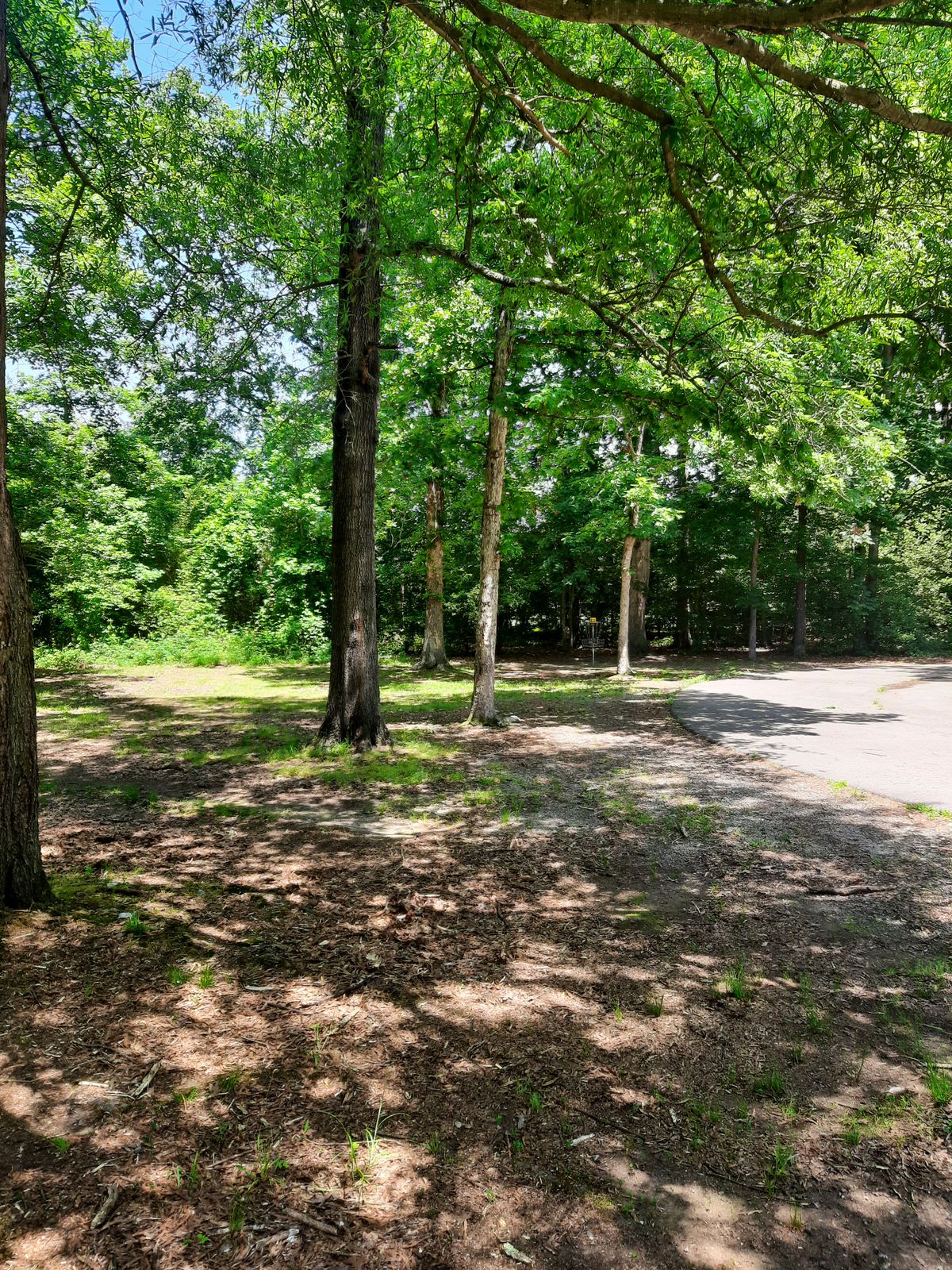 Hole 12 Approach
