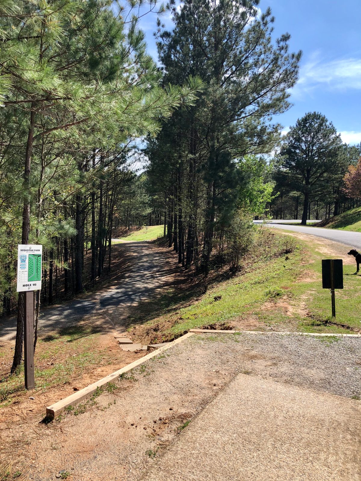 Tee 16