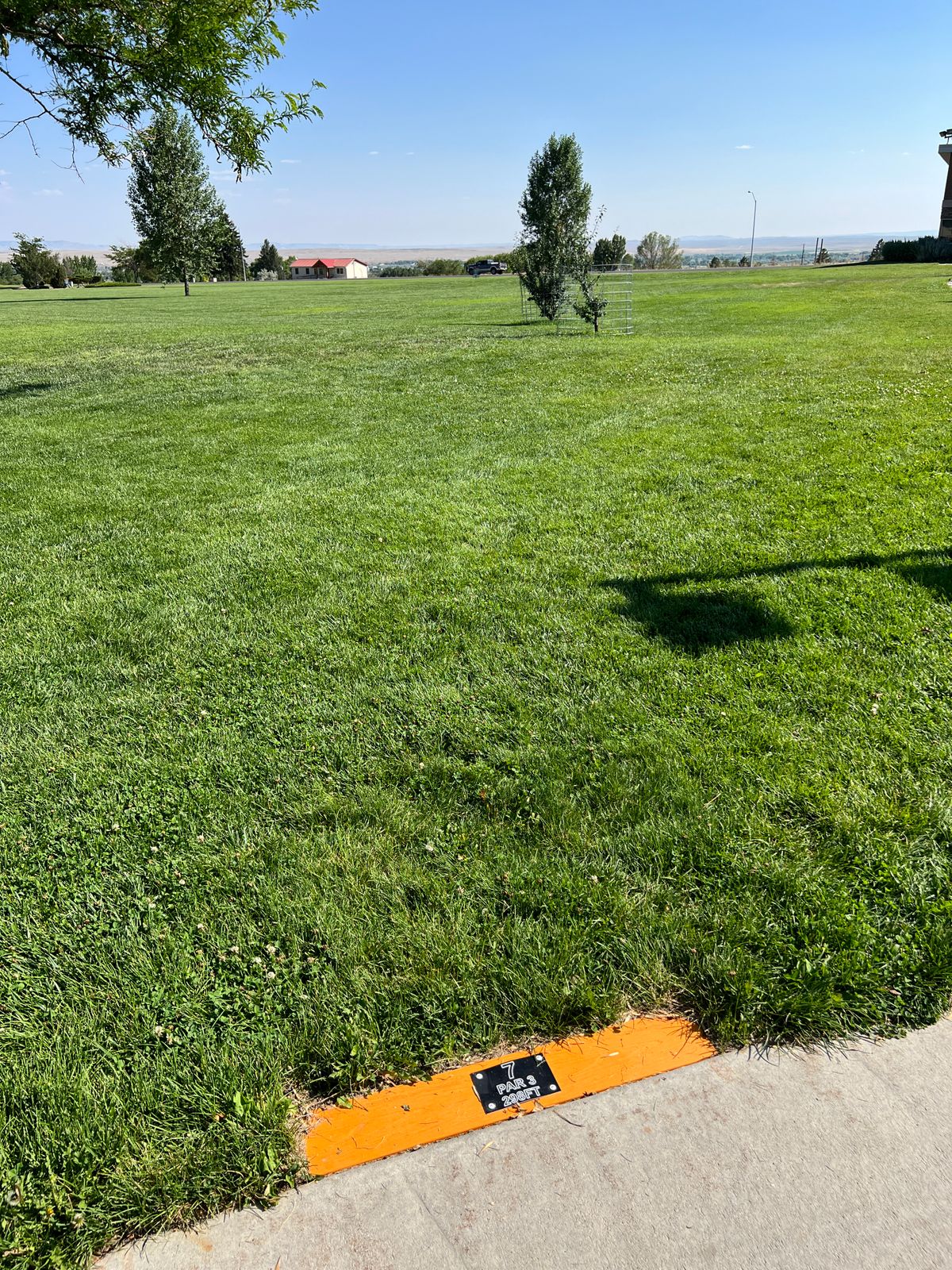 Hole 7 tee