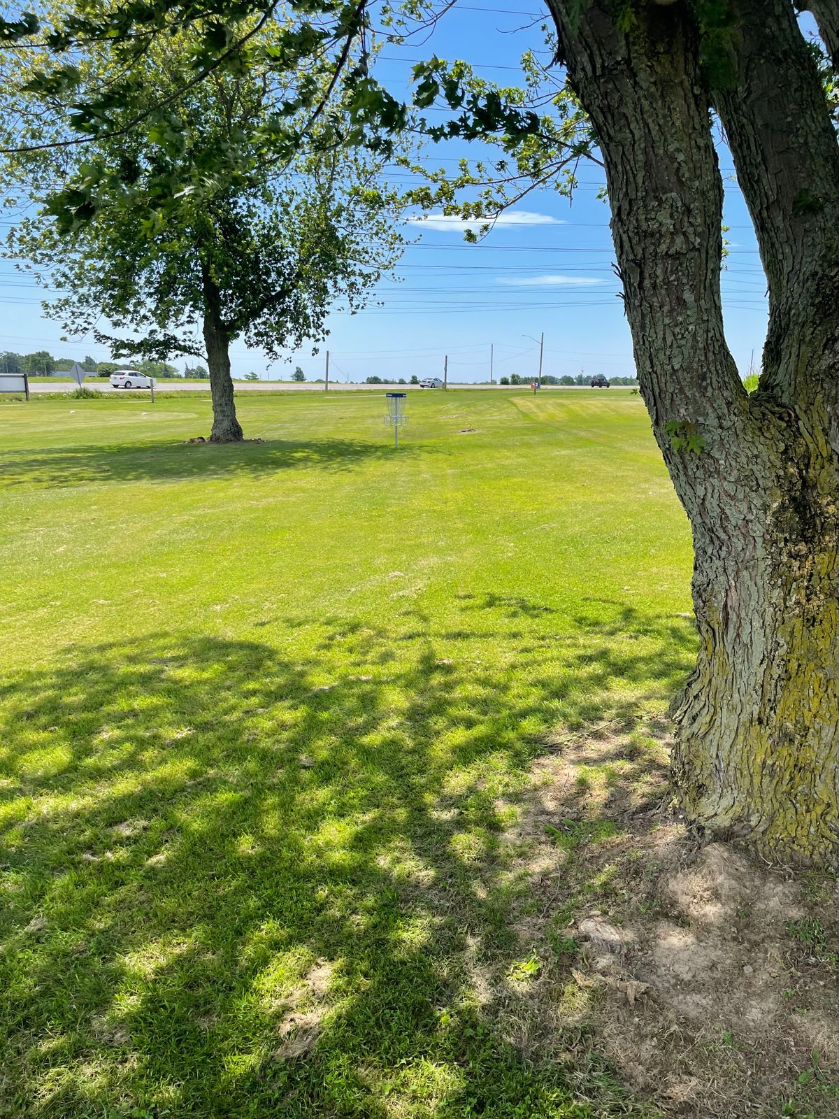 Hole 1 basket