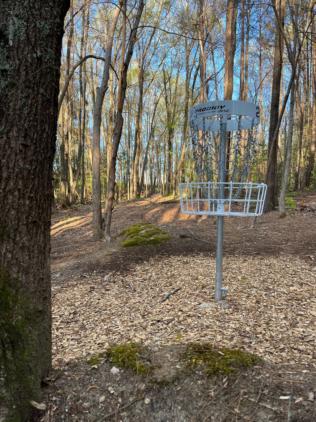 Hole 2 basket