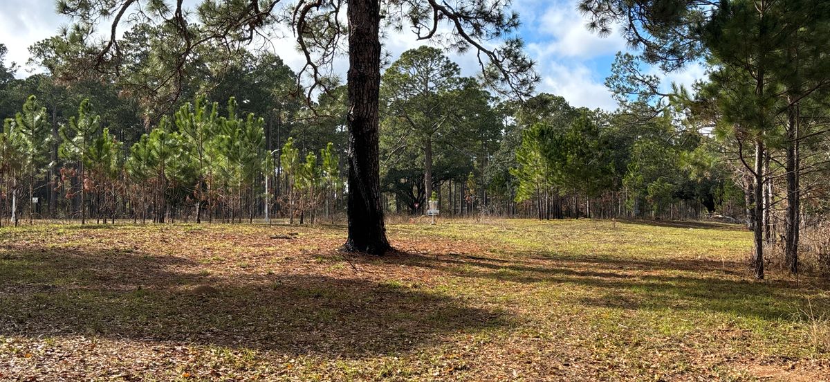 Hole 14 Red