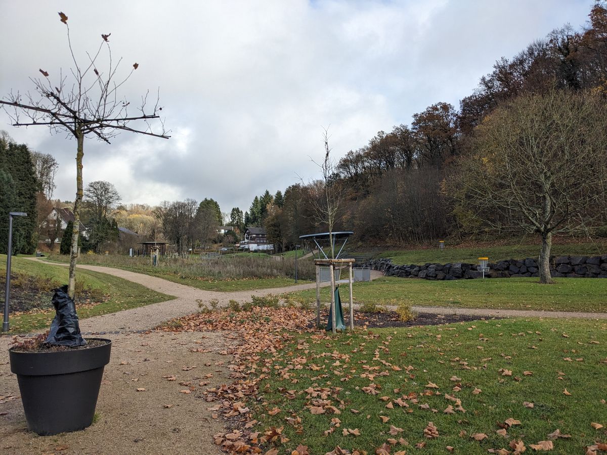 Schade um die tollen Körbe. Wahllos aufgestellte Körbe direkt neben Wegen, Spielgeräten und Spielplätzen.