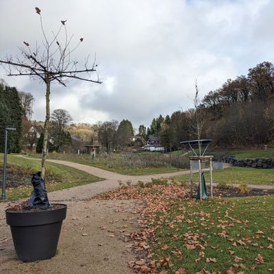 Schade um die tollen Körbe. Wahllos aufgestellte Körbe direkt neben Wegen, Spielgeräten und Spielplätzen.