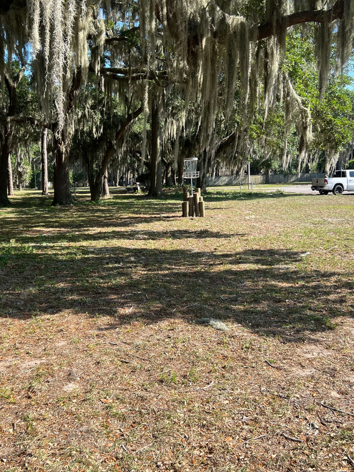 Hole 9 basket, elevated.