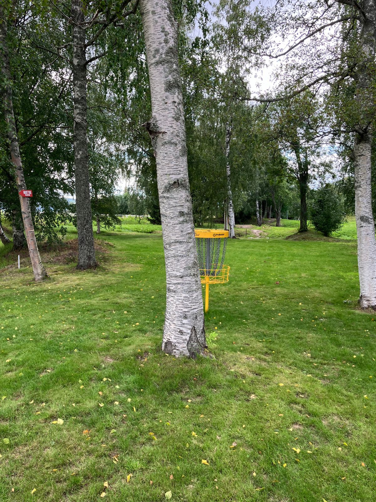 Hål 16, Green