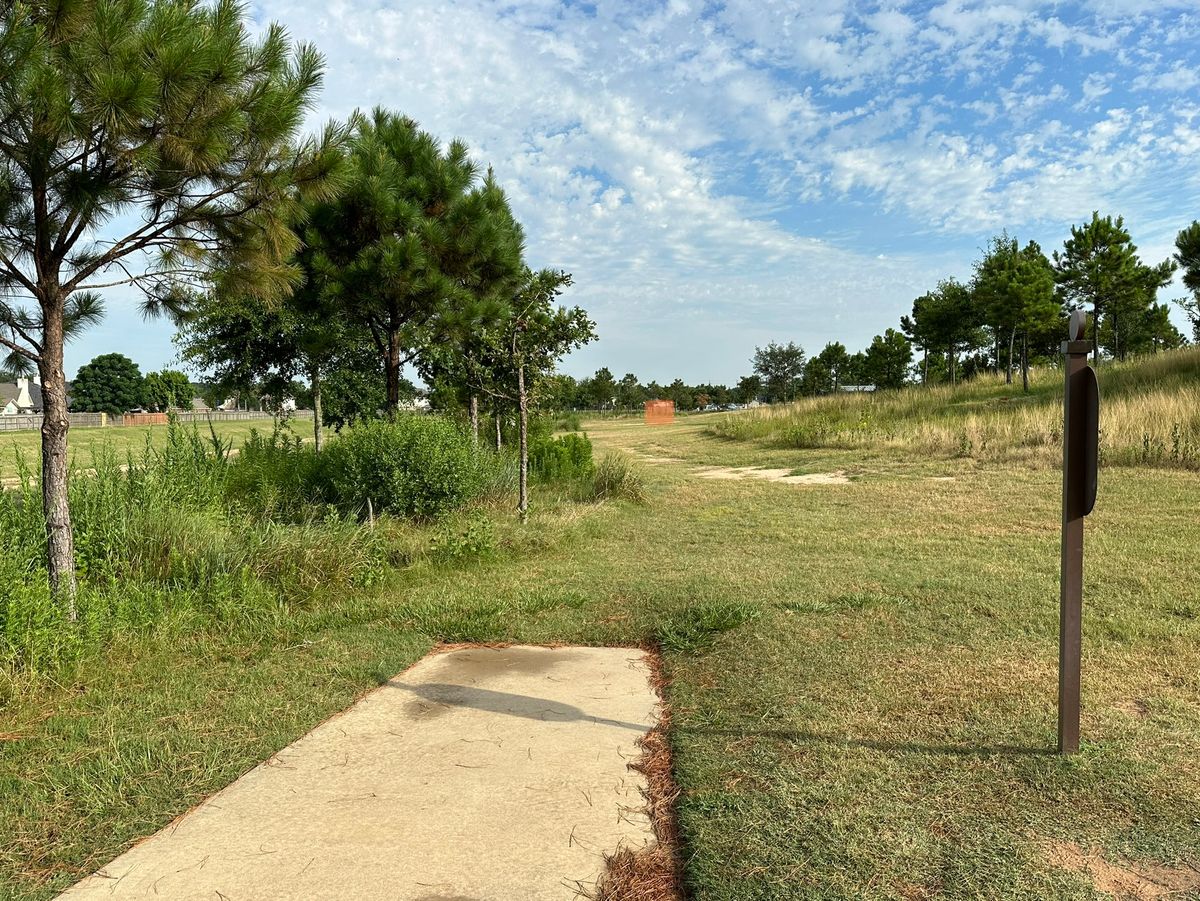 Hole 5