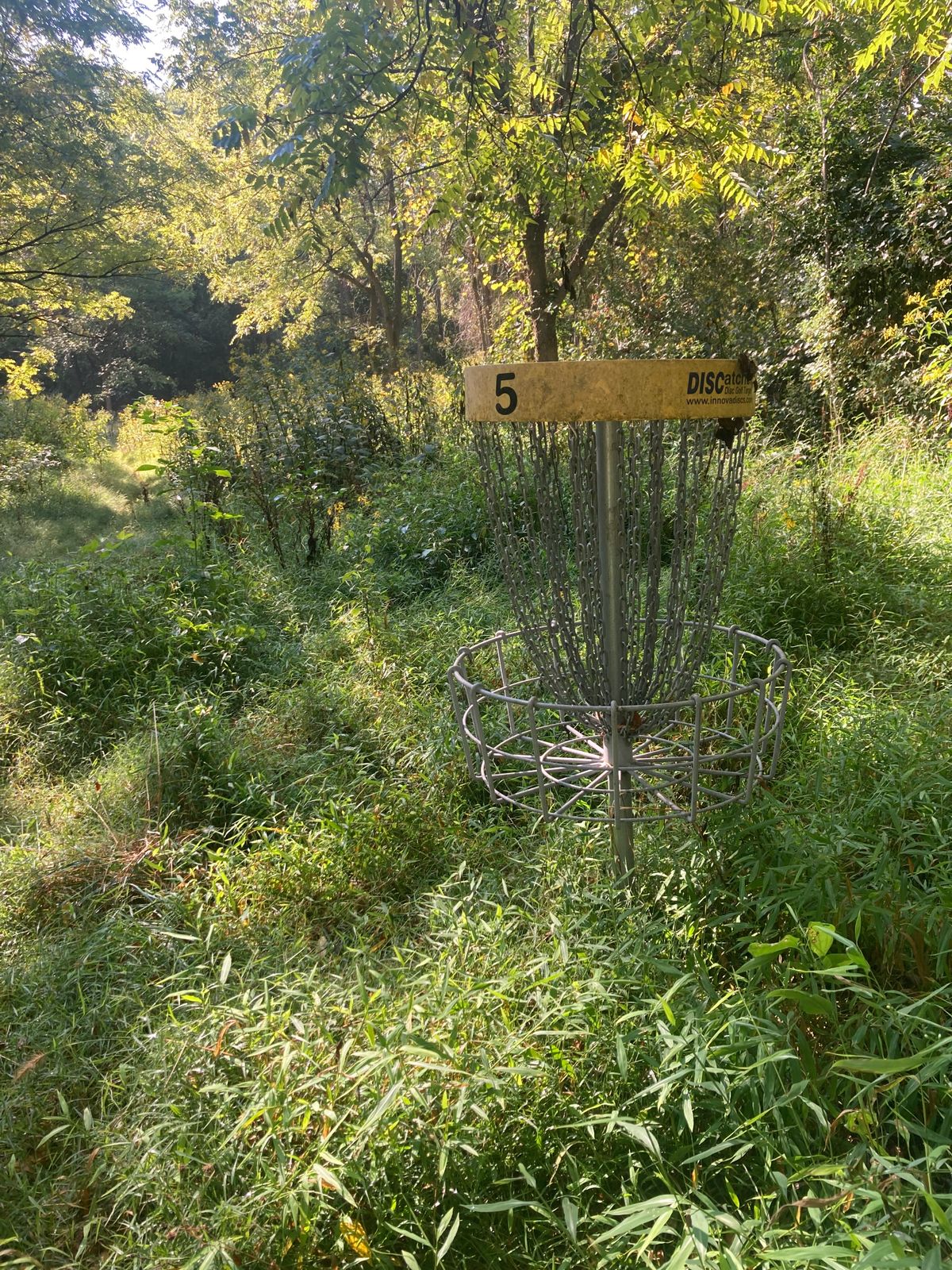 Hole 5 basket. No green to speak of. Even if pared you’ll spend 30 min finding your disc