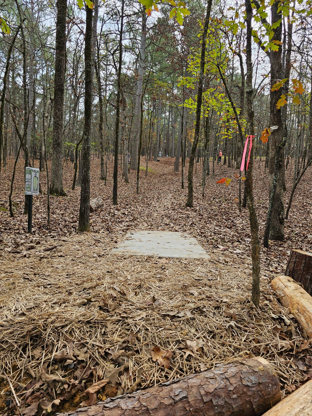 Hole 2