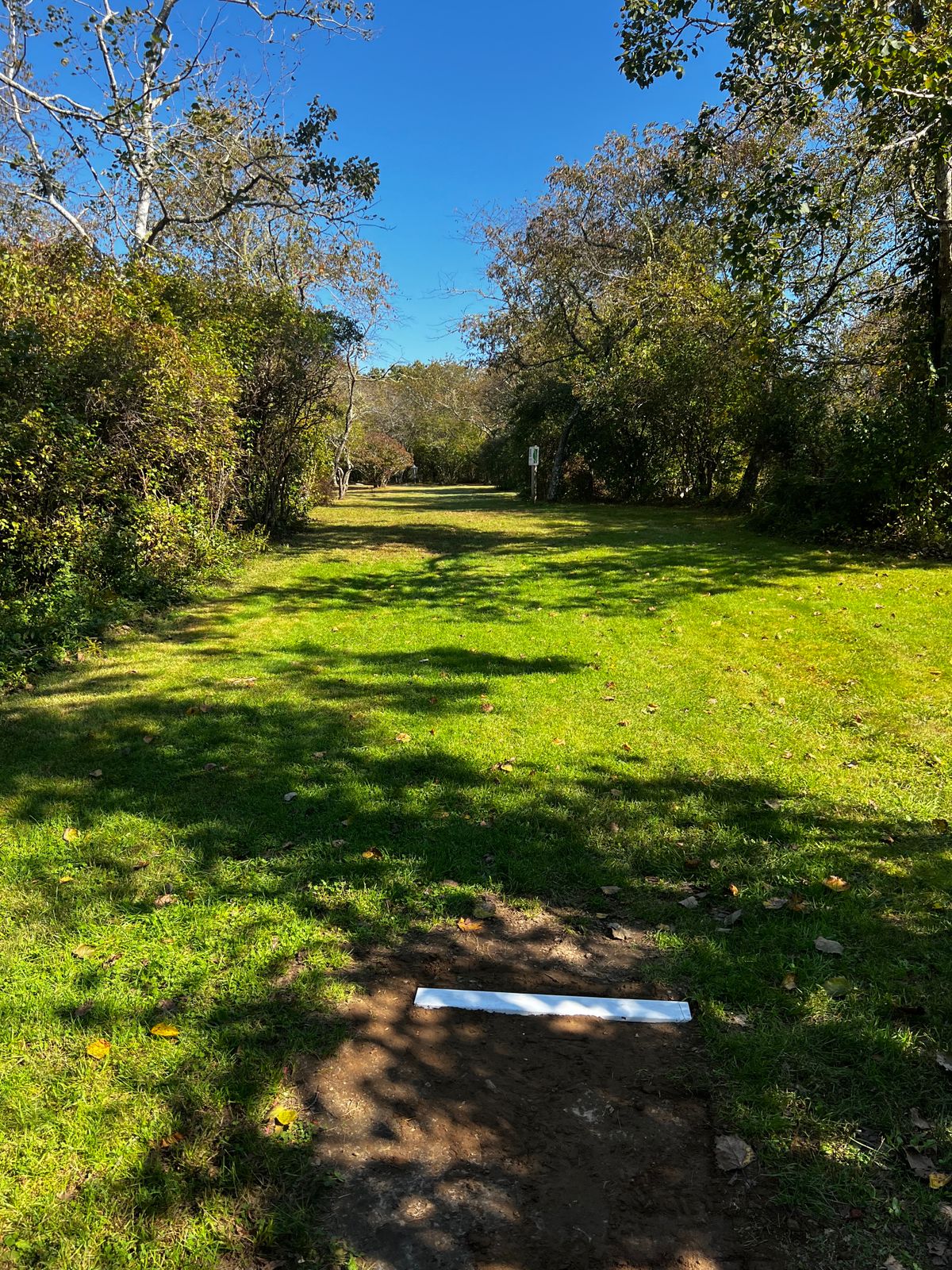 Hole 5 White