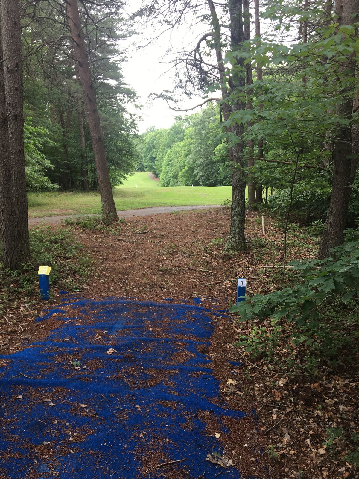 Hole 1 Blues Tee
