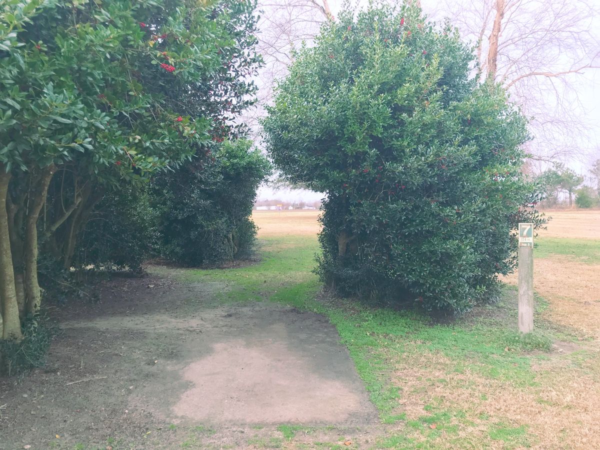 The tunnel shot: tee box of hole 7
