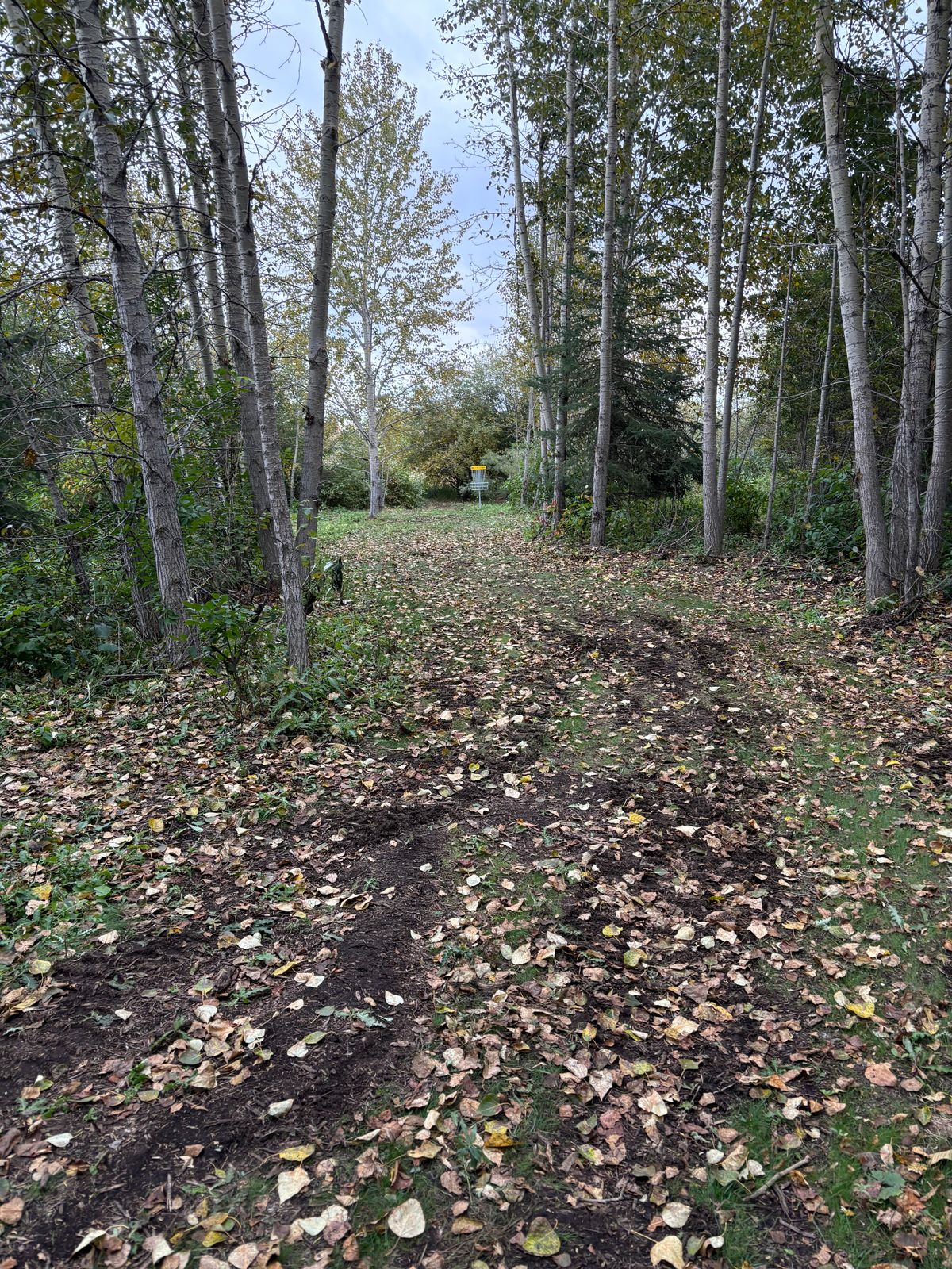 Hole 7 Approach