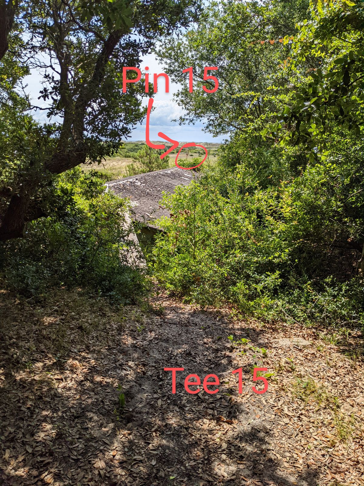 Fun little forehand hole. Avoid turning it over. There is a large, hazardous junk yard that will eat your disc short and left.
