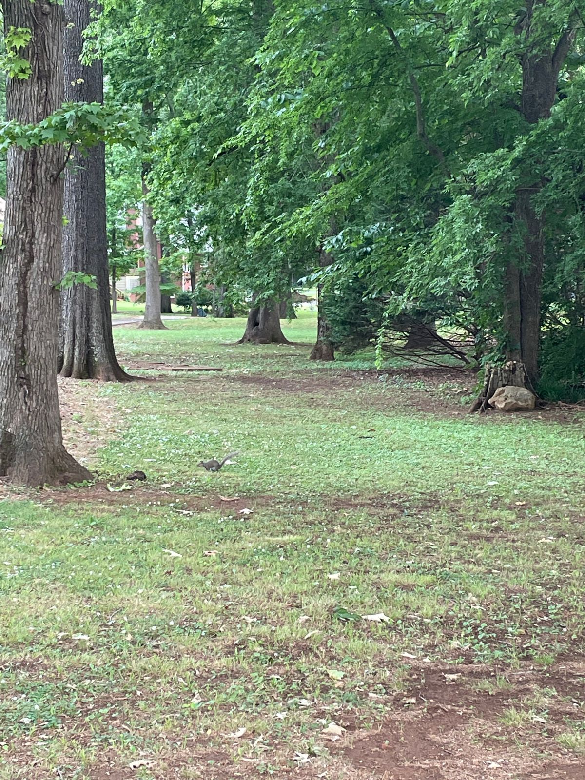 Hole 14