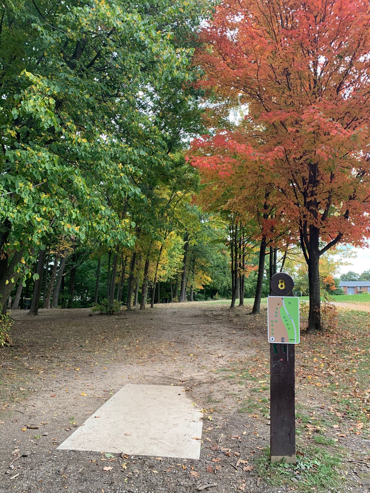 Hole 8