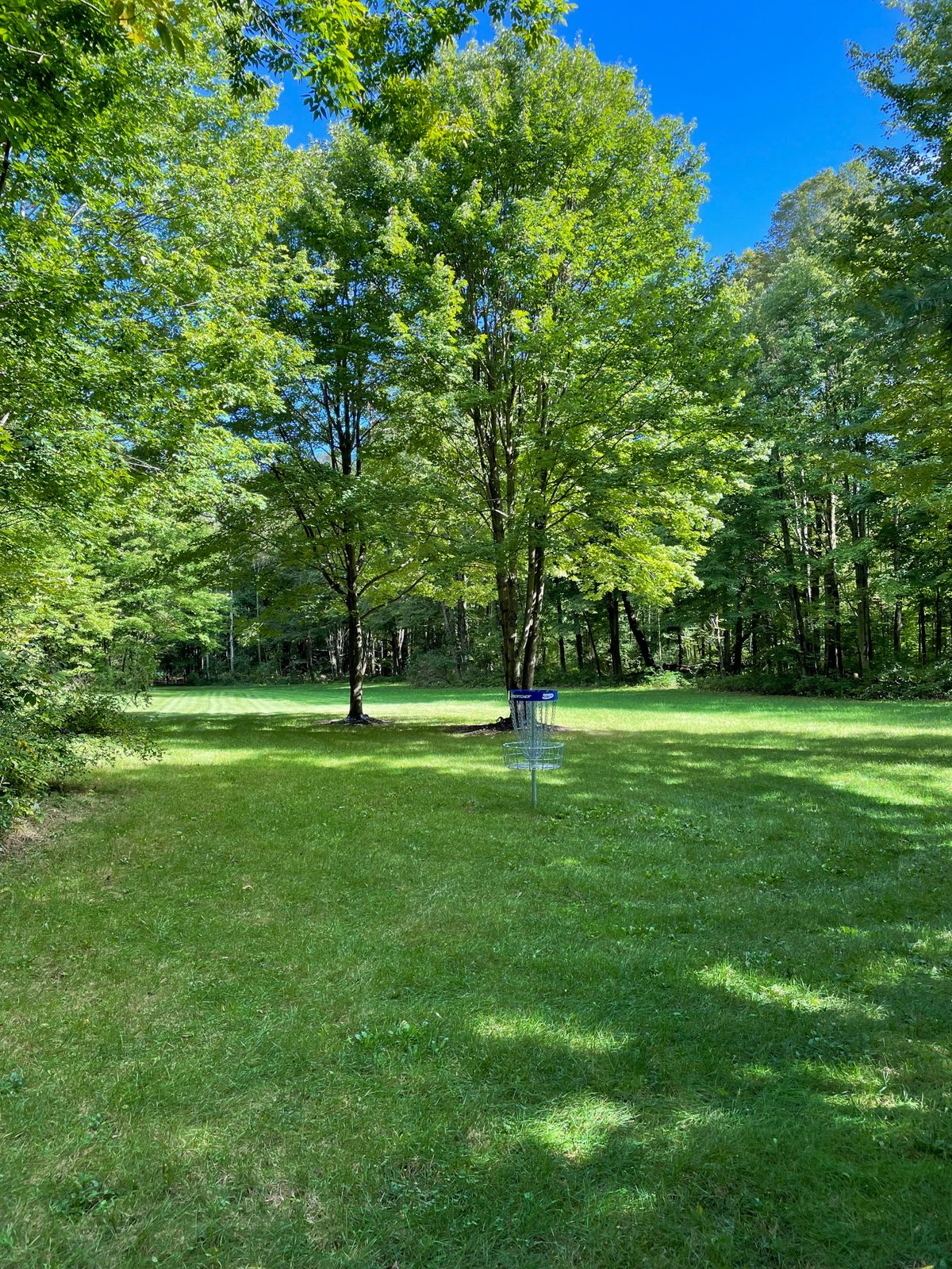View from behind the basket on hole 5