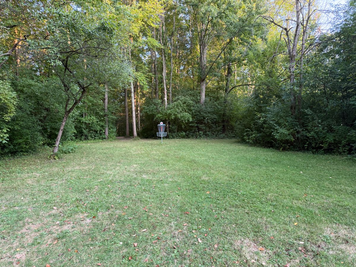 Hole 8 Green