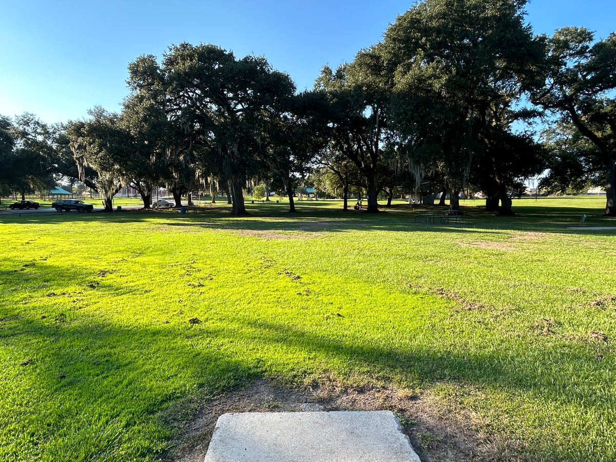 Hole 11 Fairway