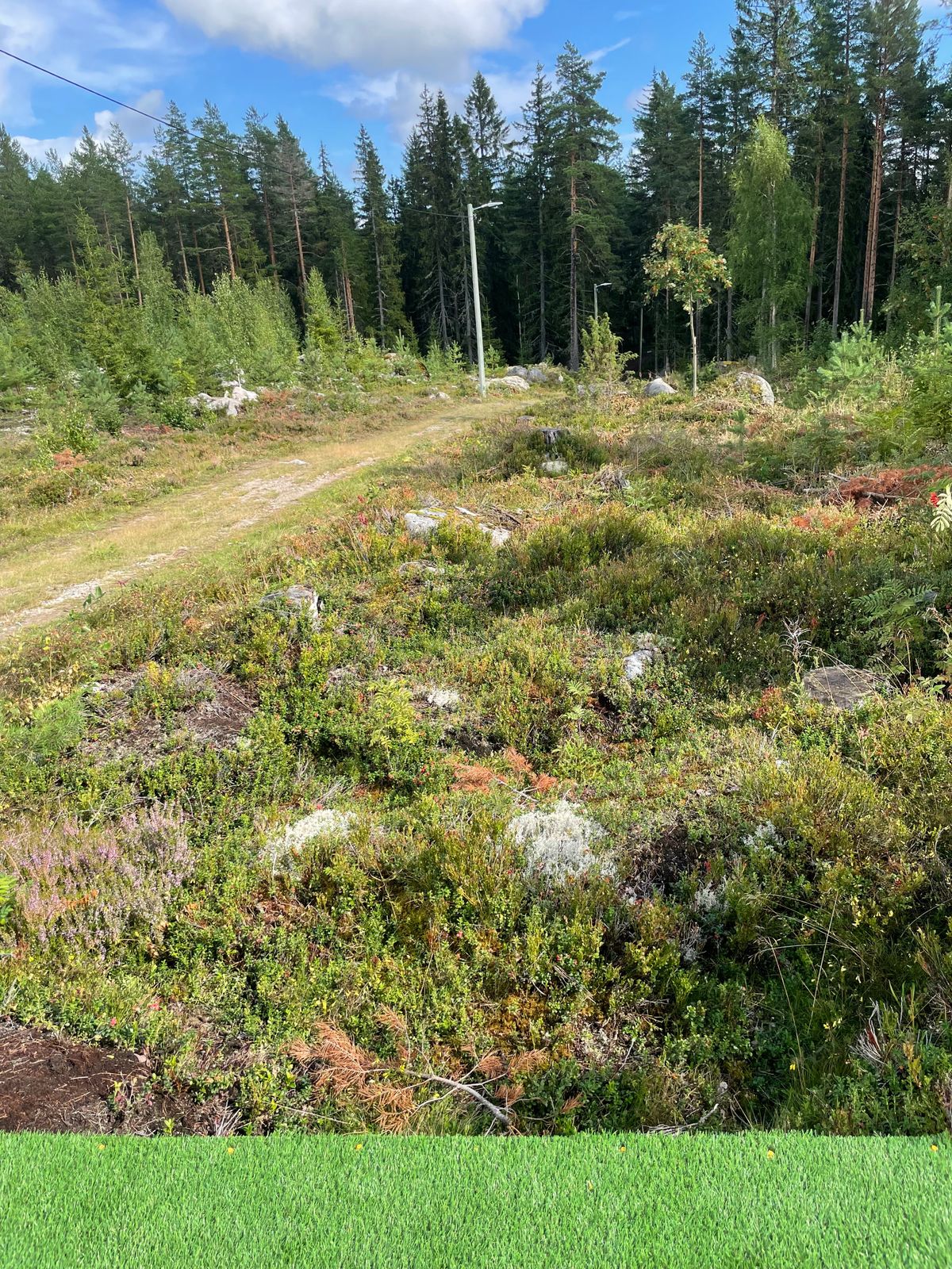 Hål 13