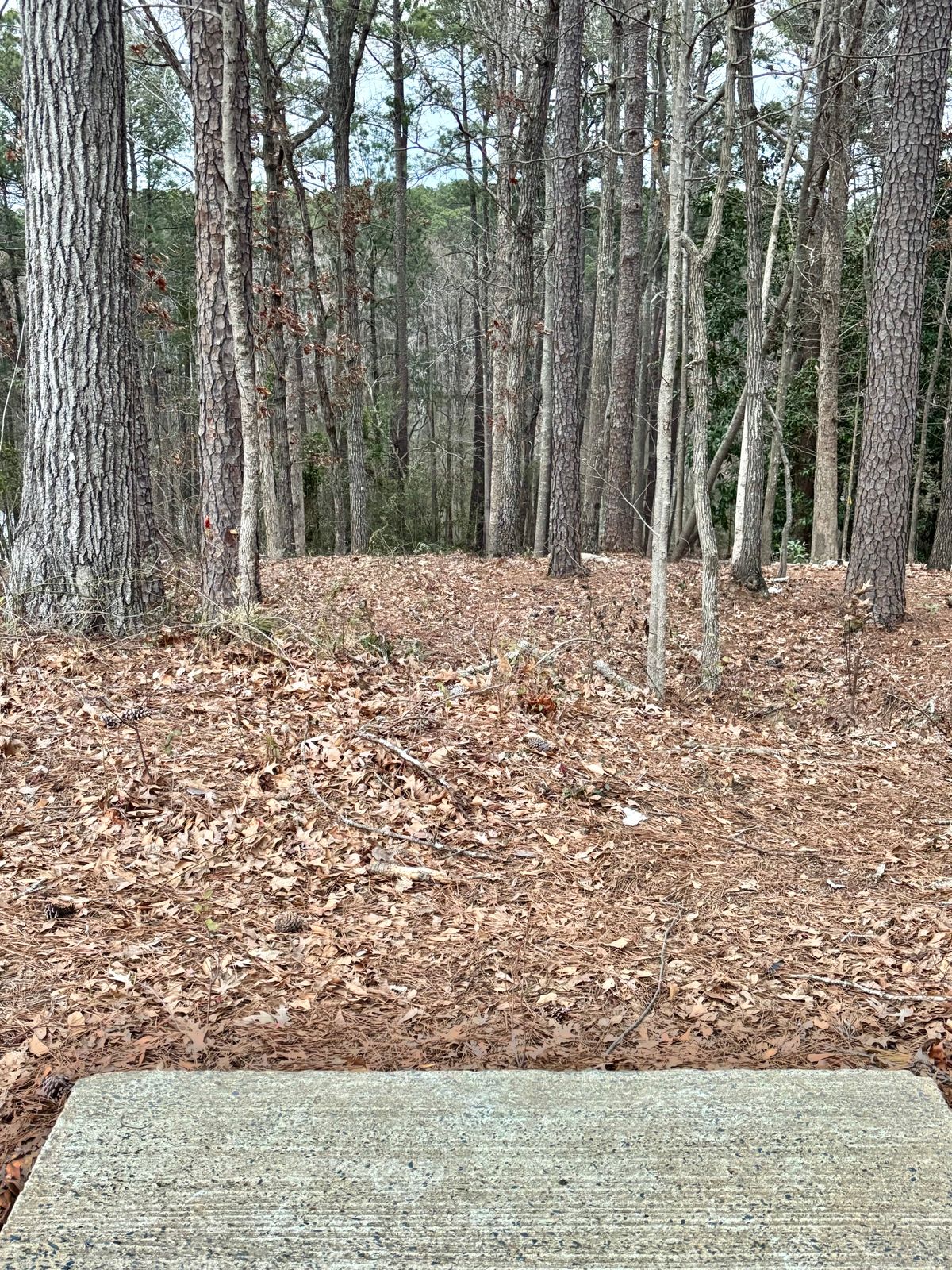 Hole 16 Tee