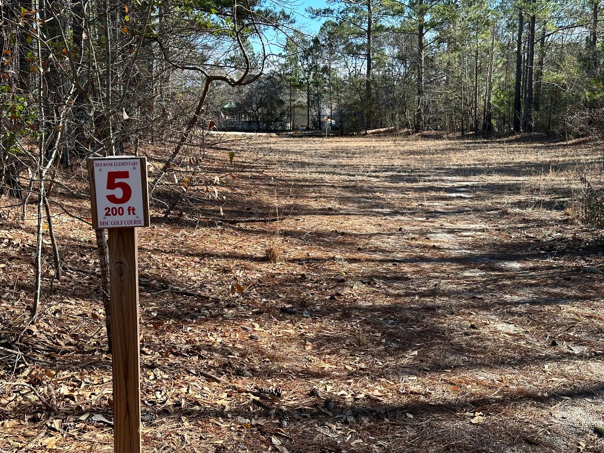 Hole 5