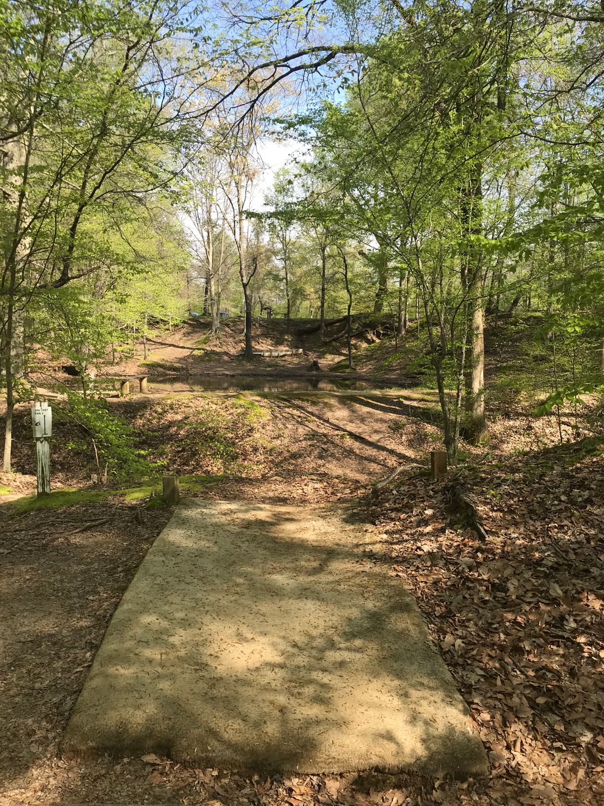 Hole#4