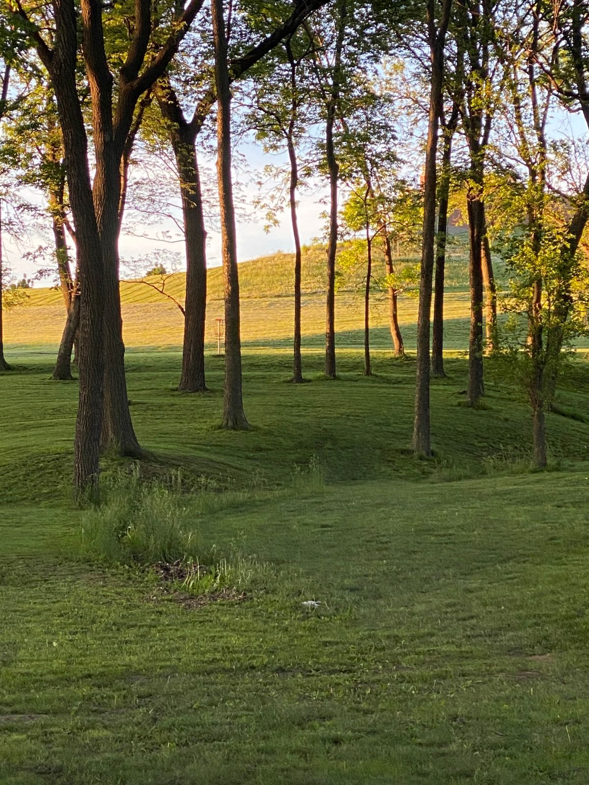 Hole 7
