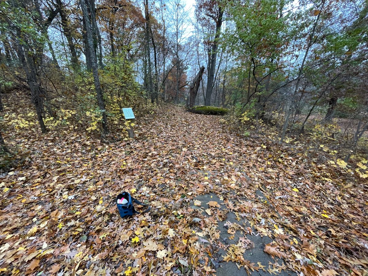 Hole 17 from long tee