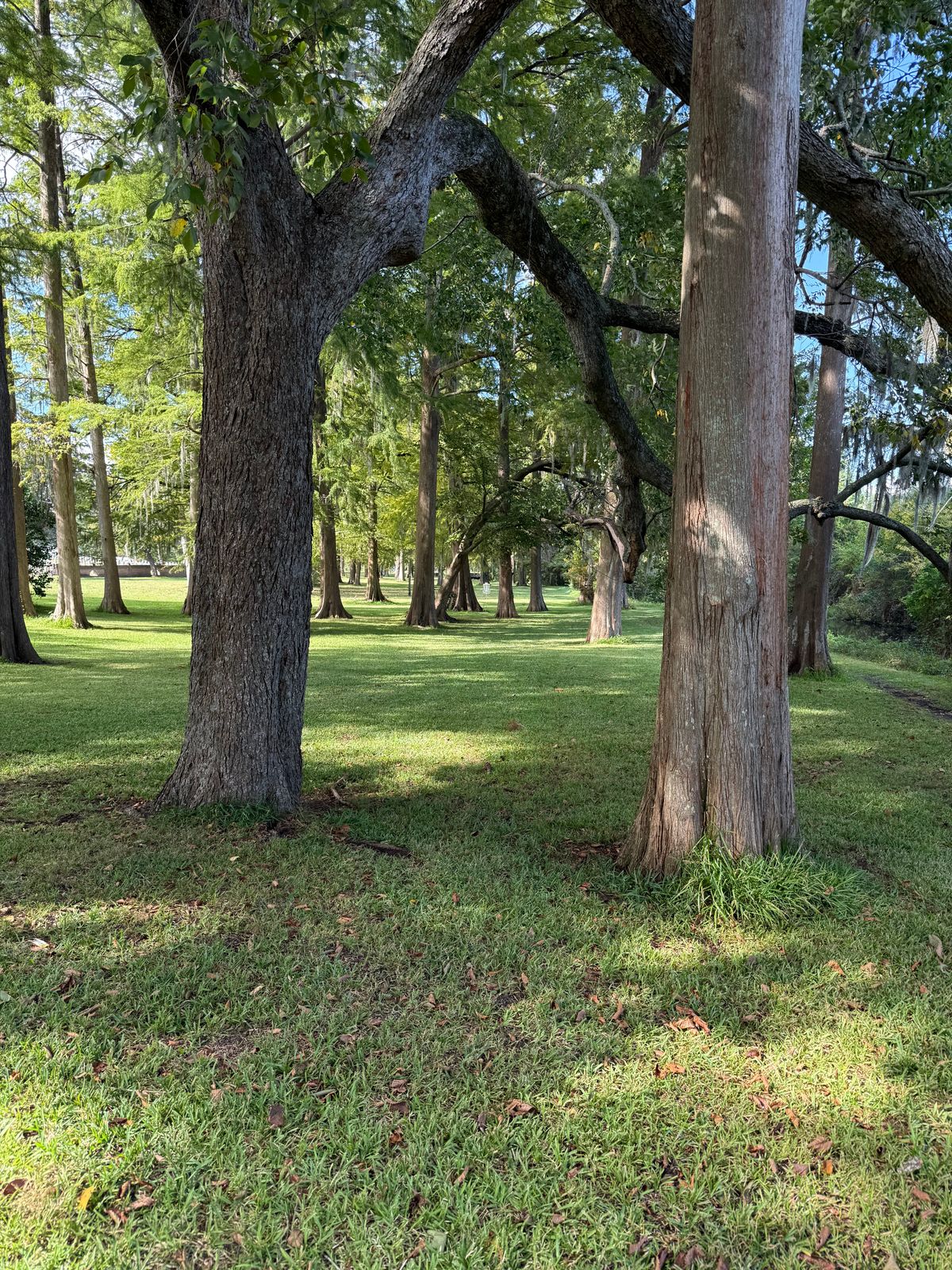 Hole 11