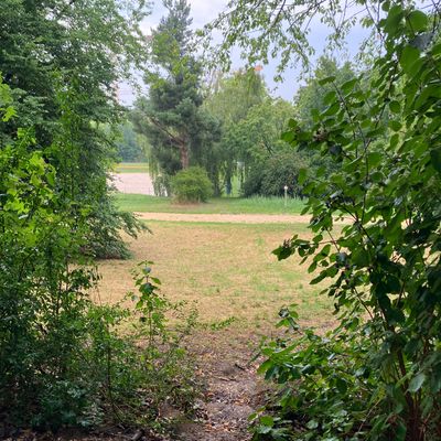 Hole 7. Refreshed teepad. Steep drop off behind the basket.