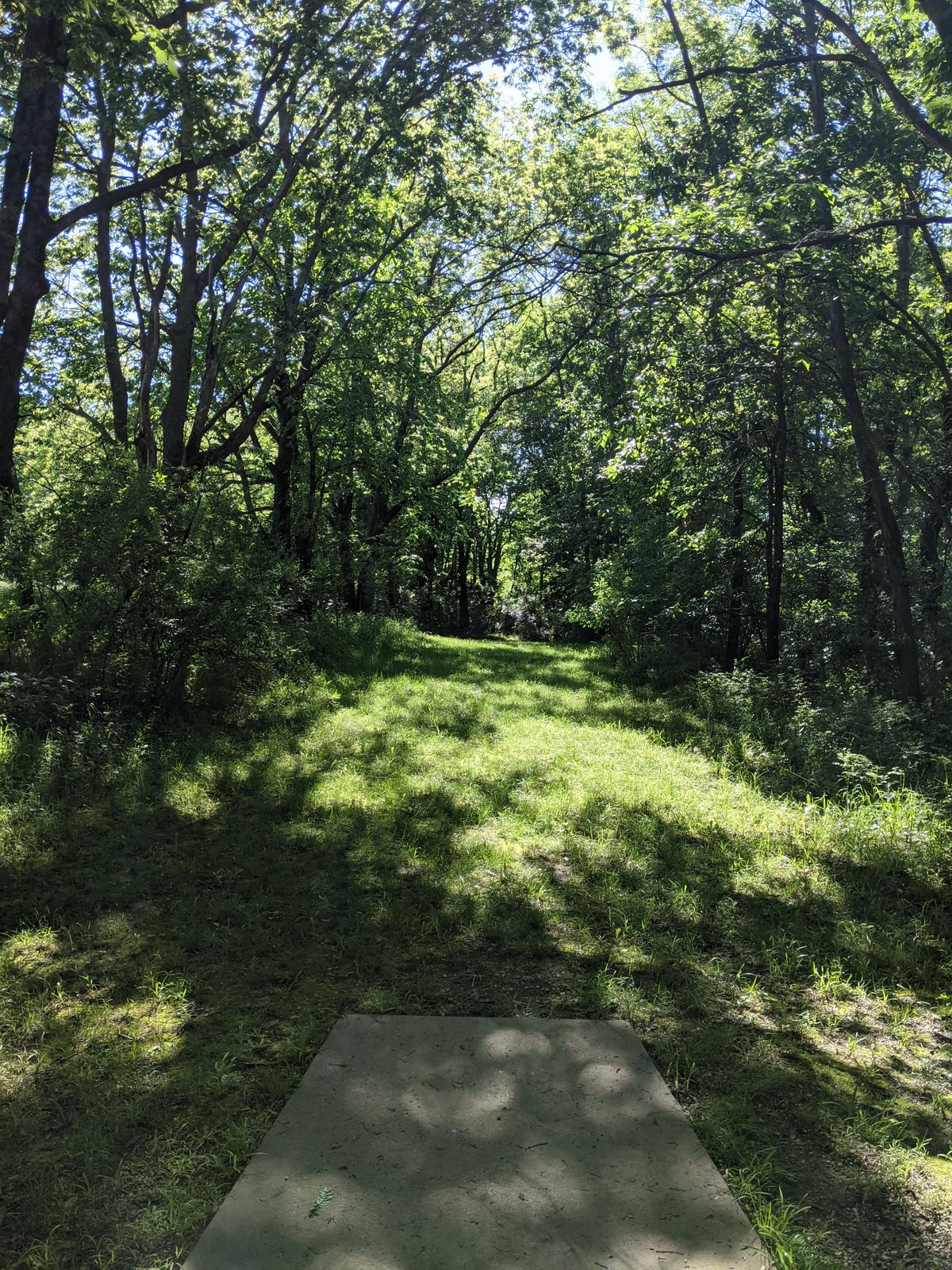 Tee 8