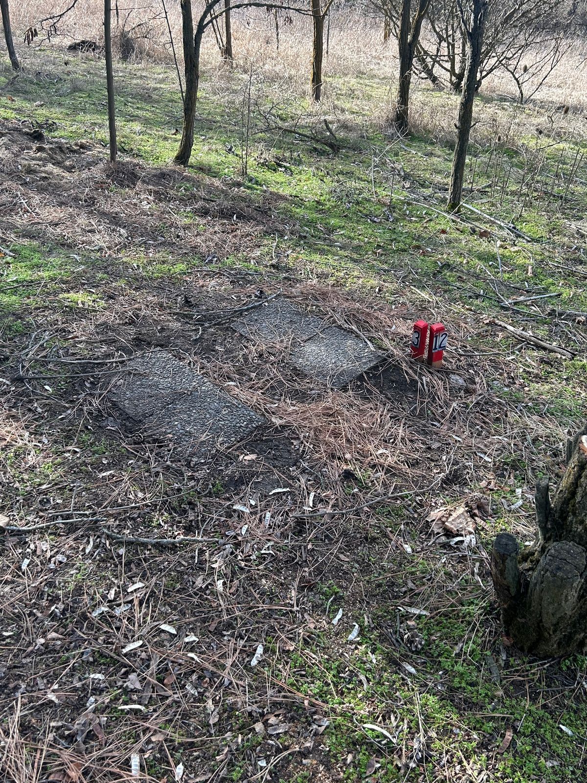 Hole #12 step T-pad.