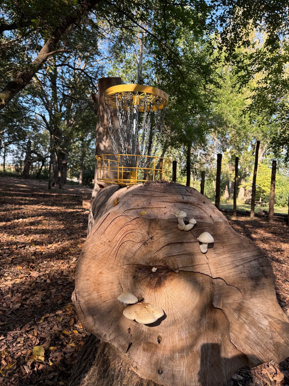 Great starting hole