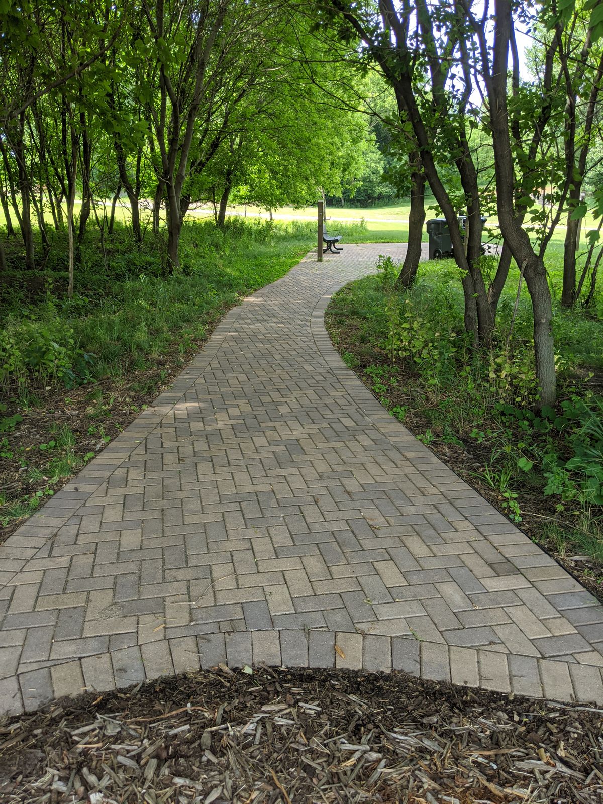 So much wonderful landscaping has been added to this course over the years.  It's truly become a masterpiece of disc course design.