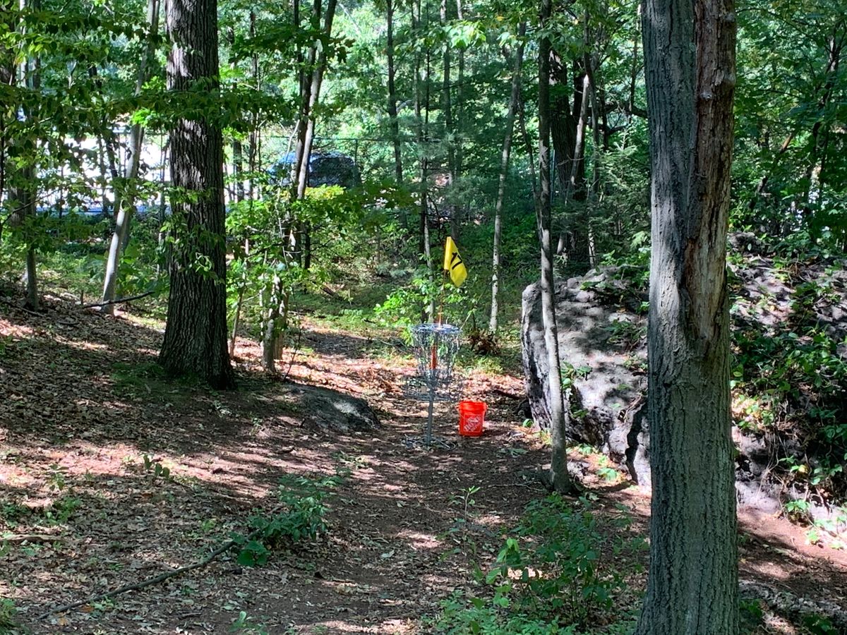 Numbered hole flags are up; here is 17