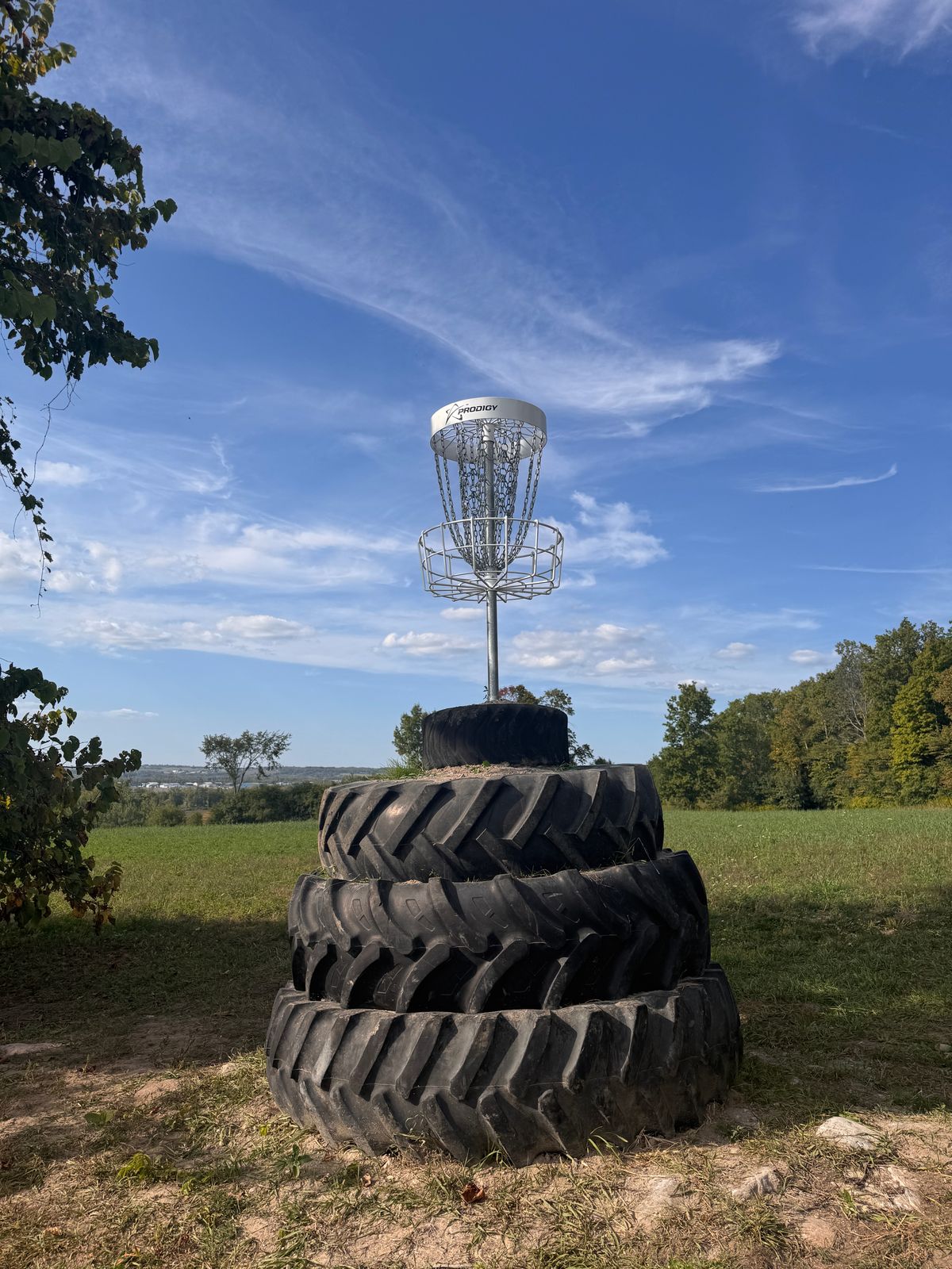Hole 5 basket