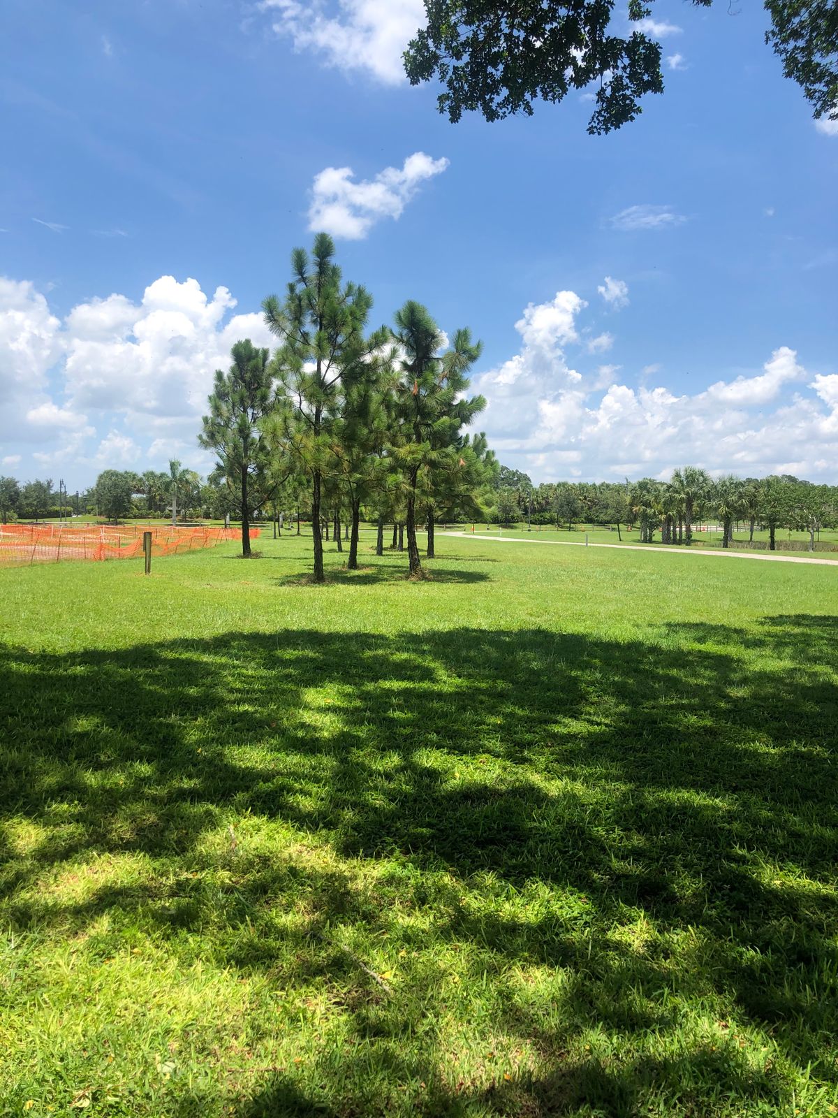 Hole 12