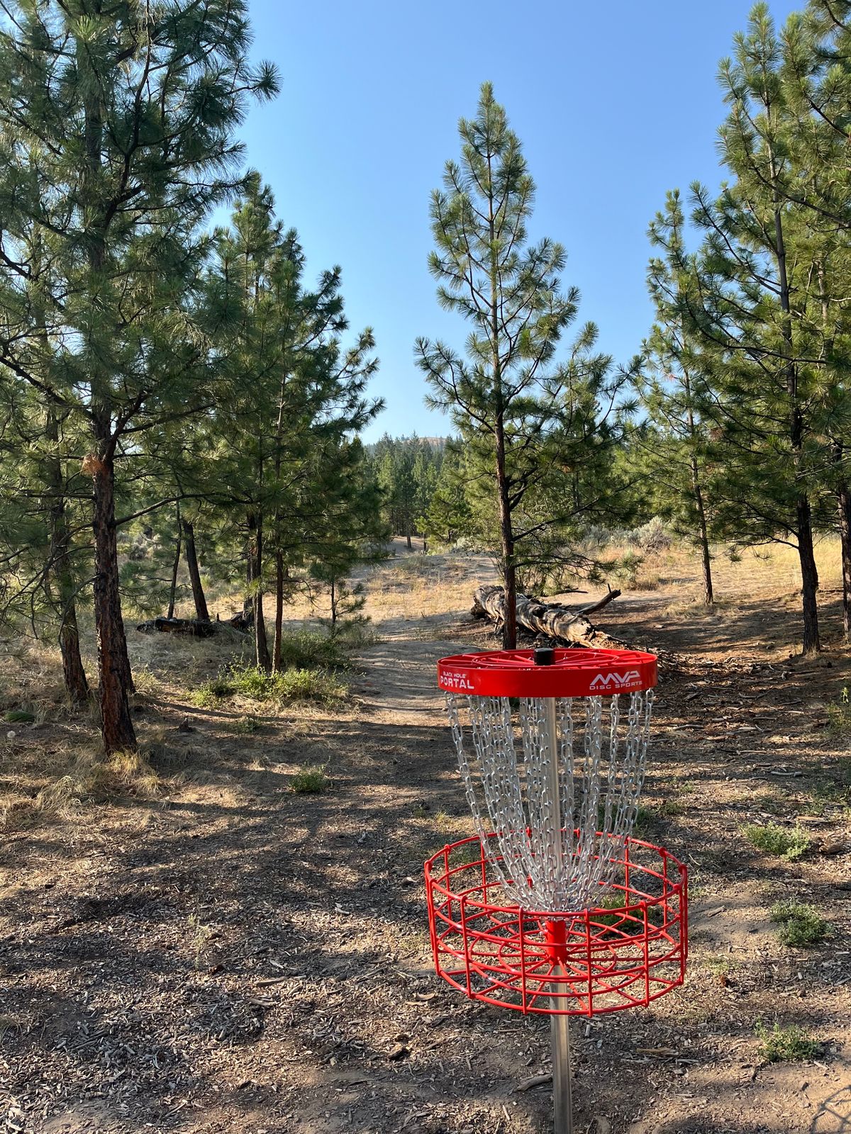 The protected green of hole 3