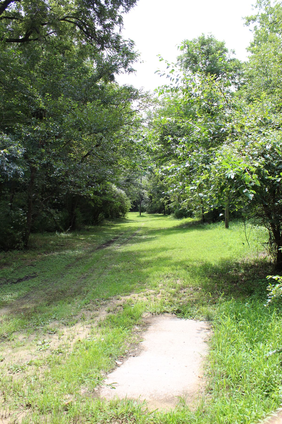 Hole 1 (Tee)
