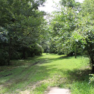 Hole 1 (Tee)