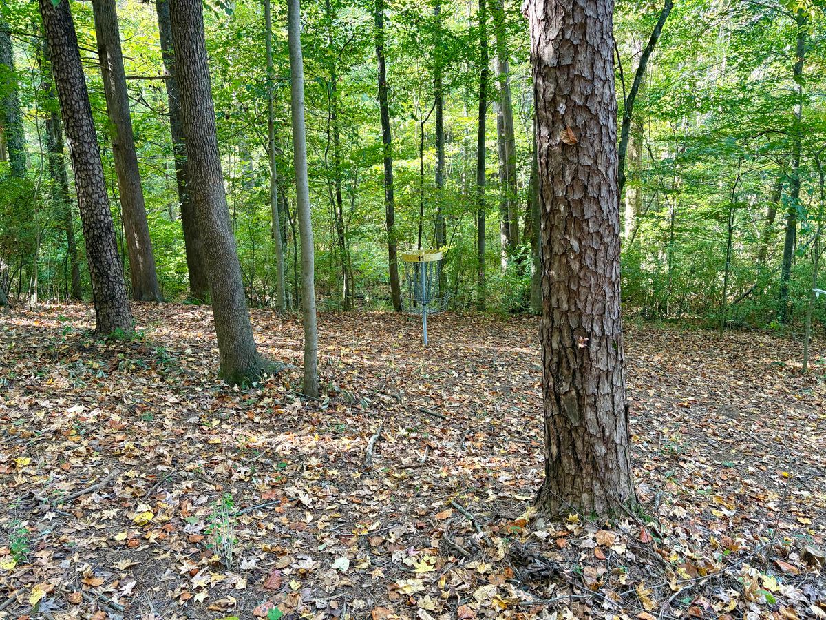 Hole 11 approach