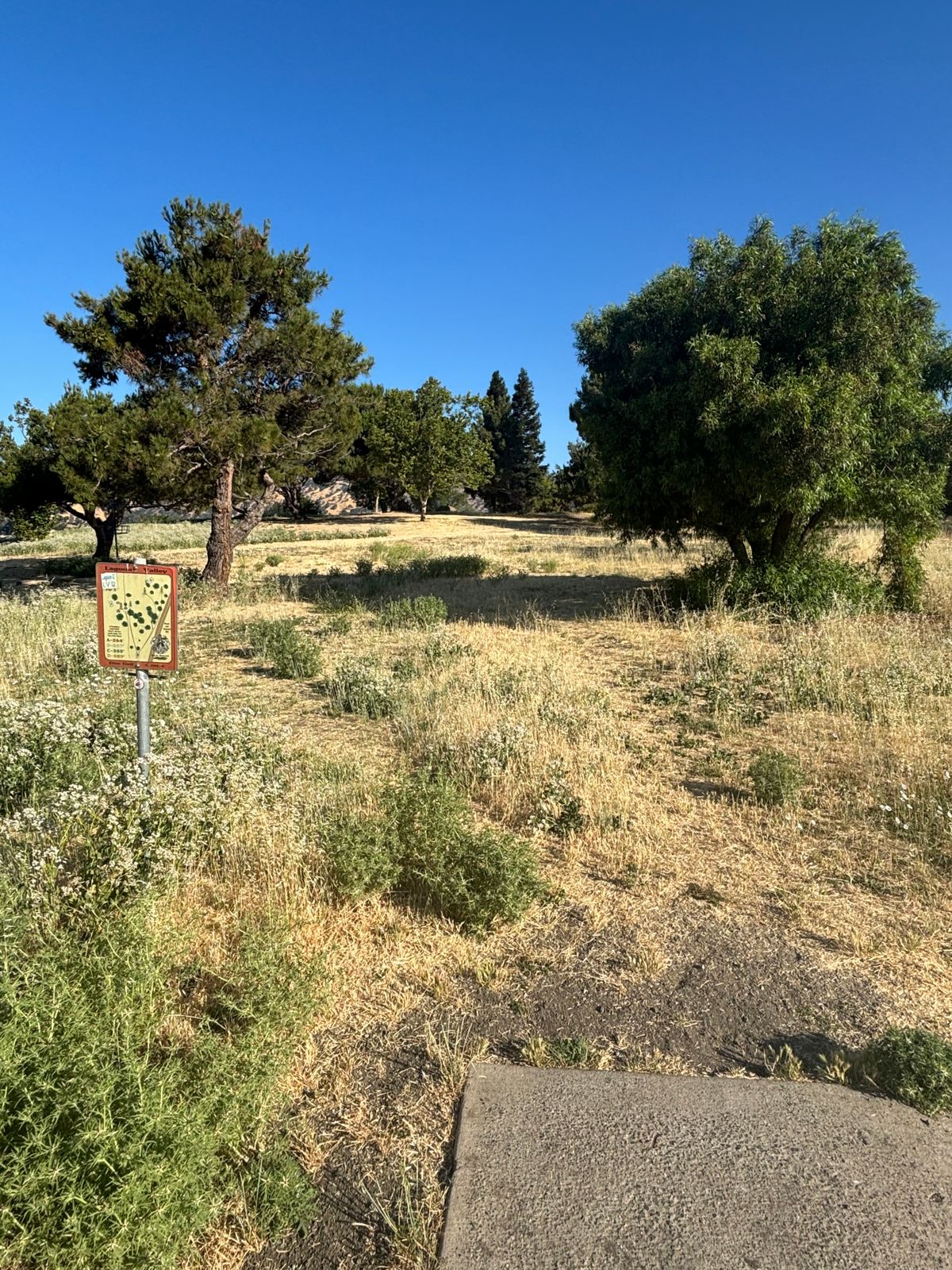 Lagoon Front Hole 12