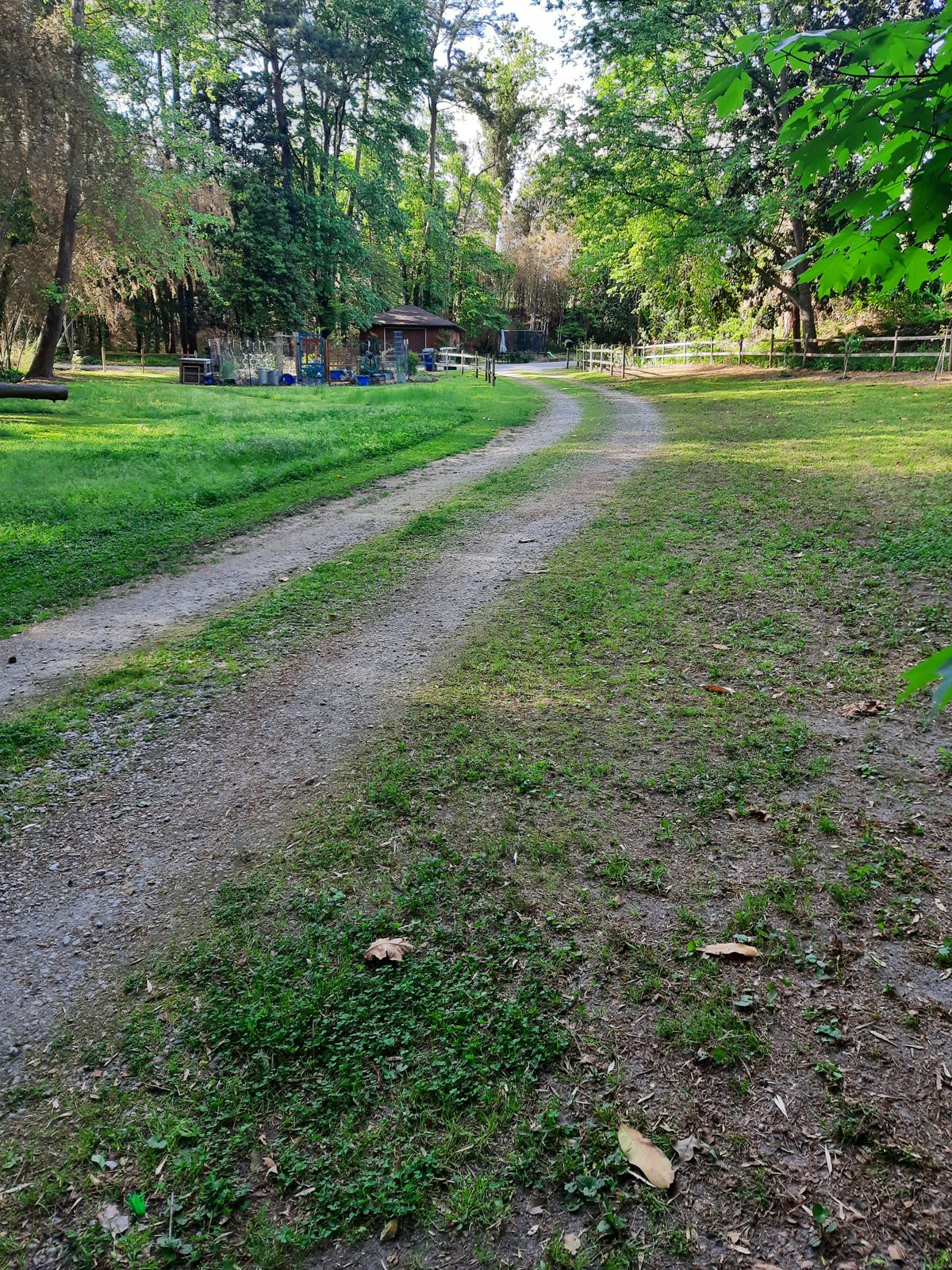 Hole 4 Blue Tee