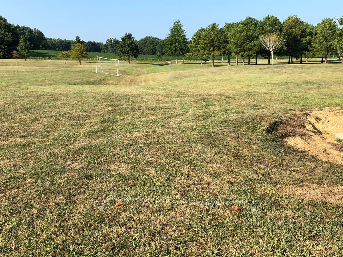 #3 tee