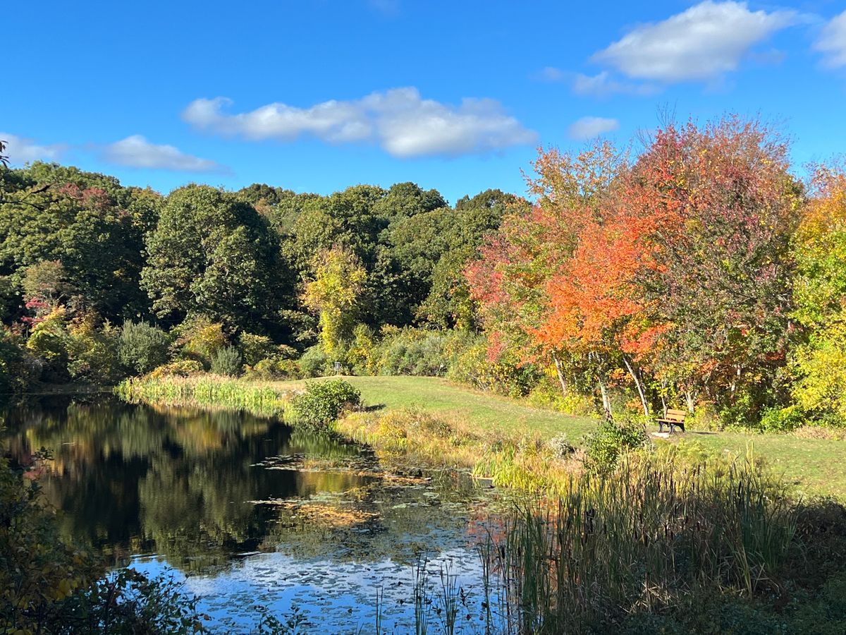 Hole 14 on a beautiful fall day