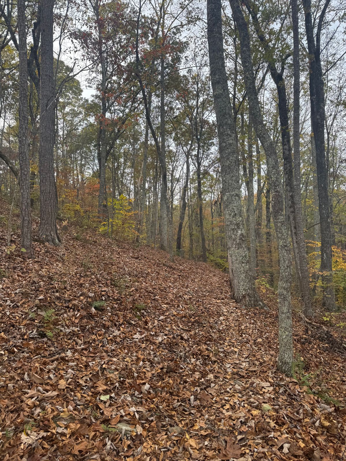 Hole 3 fairway